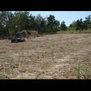 Nur selten können Maschinen eingesetzt werden